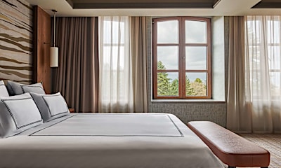 Swiss Deluxe Oda Orman Manzaralı