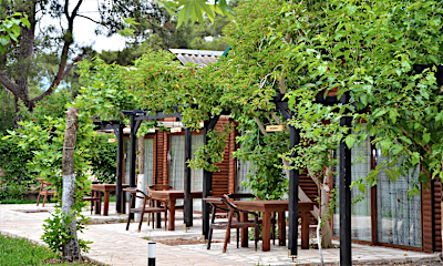 Deluxe Bungalow -  Havuz Manzaralı