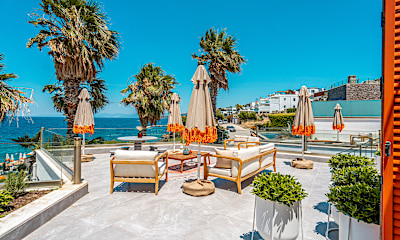 Deluxe Terrace
