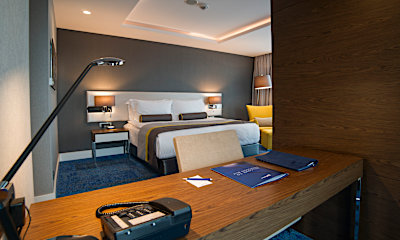 Junior Suite - Mt Erciyes View	