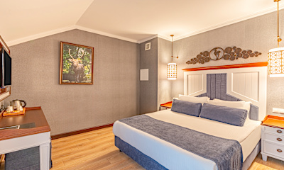 Comfort Standart Oda