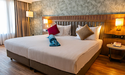Standart French Bed Oda 