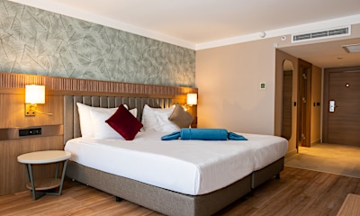 Standart French Bed Oda 
