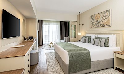 Standart Kara Manzaralı