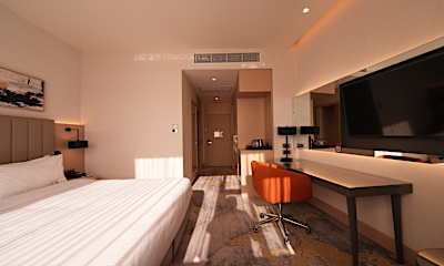 Superior Room King Bed