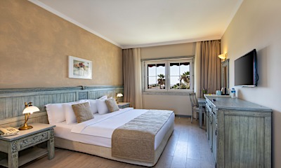 Deluxe without Balcony