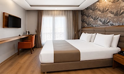 Trendy Queen Room