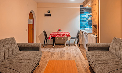 Dağ Manzaralı Daire