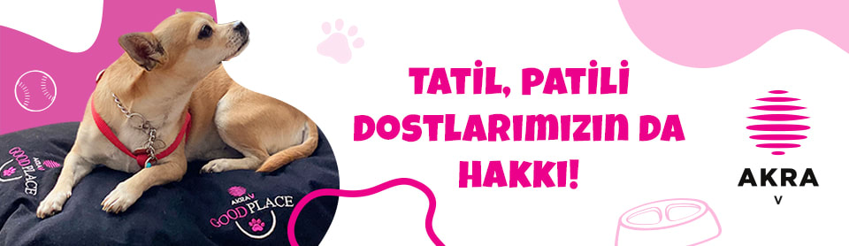 Evcil Hayvan Kabul Eden Oteller ve Fiyatları 2025 | Setur kampanyaları 5 