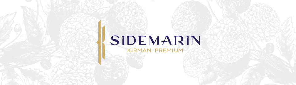 Side Otelleri - Side Otel Fiyatları 2025 | Setur kampanyaları 12 