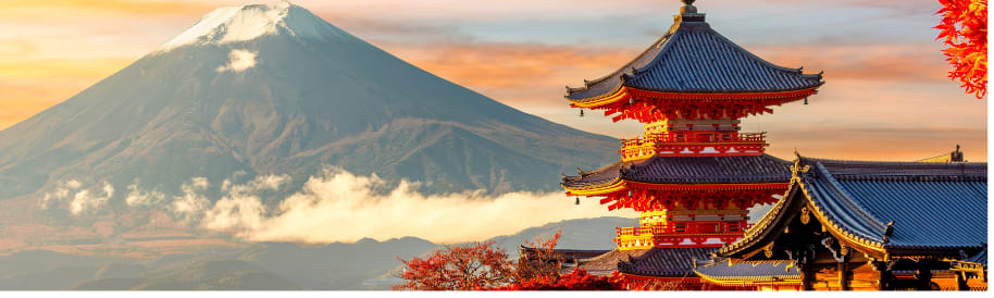 Süper Promo Japonya & Kore Turu